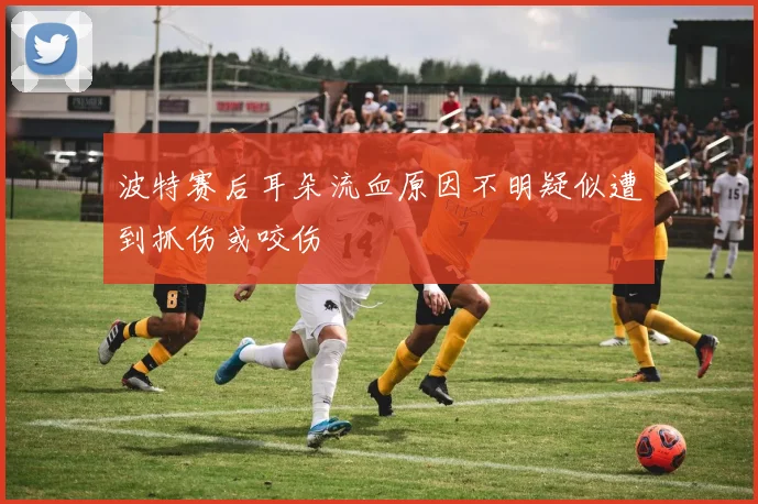 波特赛后耳朵流血原因不明疑似遭到抓伤或咬伤