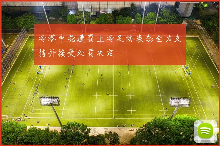 海港申花遭罚上海足协表态全力支持并接受处罚决定